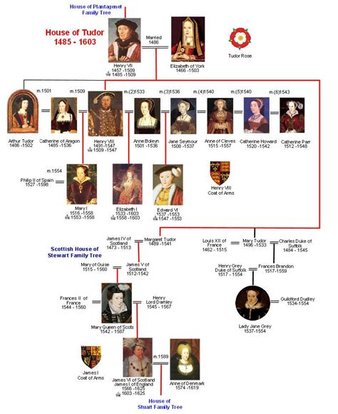 britroyals tudor family tree|descendants of henry vii england.